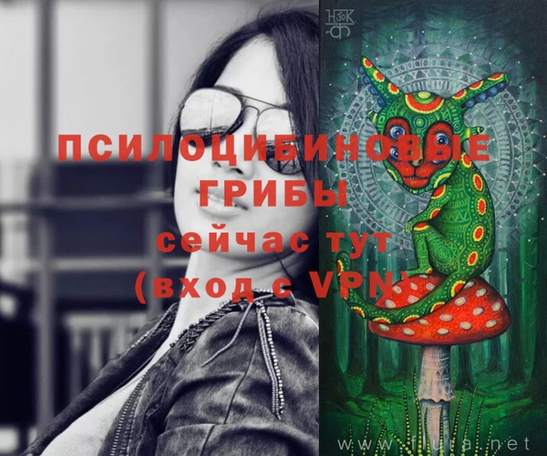 бошки Зеленодольск