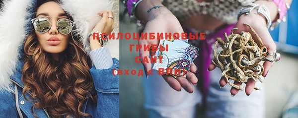 бошки Зеленодольск