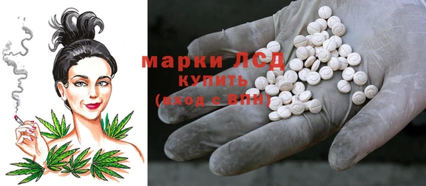 крисы Корсаков
