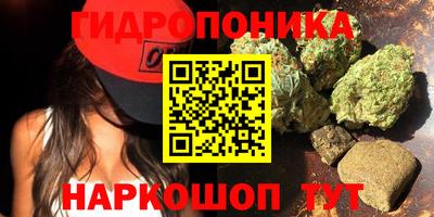 PSILOCYBIN Заволжье