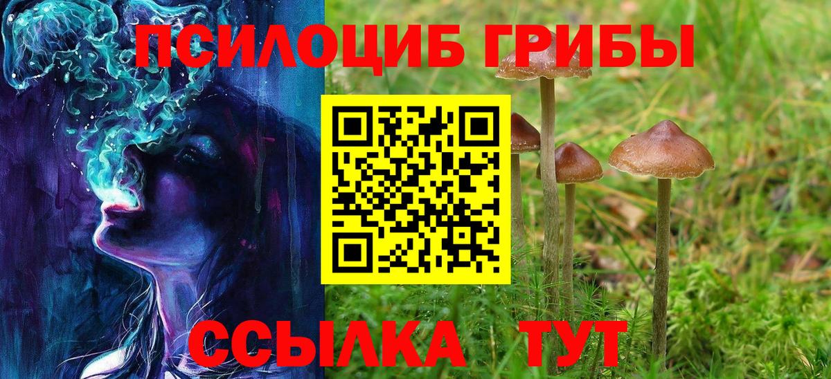 Псилоцибиновые грибы ЛСД  Вход с VPN  Галлюциногенные грибы Magic Shrooms  Камень-на-Оби 
