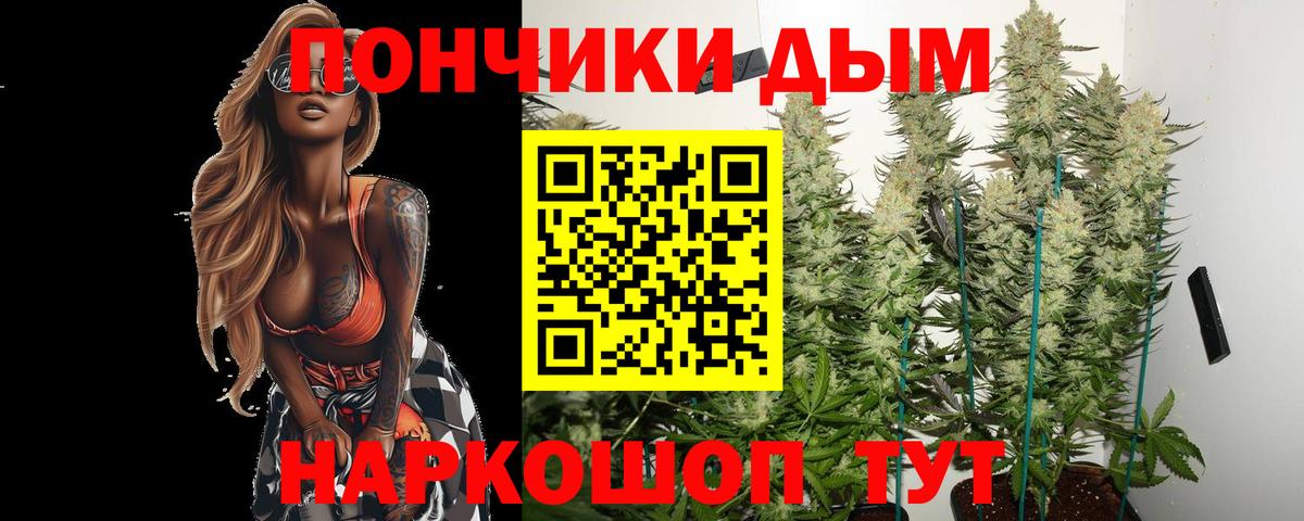 Камень-на-Оби  Бошки марихуана план  Вход с VPN  Марихуана семена  Марихуана OG Kush 